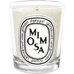 Diptyque Mimosa Candela 190 gr - DIPTYQUE Alla Violetta Boutique