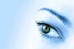 Miriam Bay Eye mask 30 ml